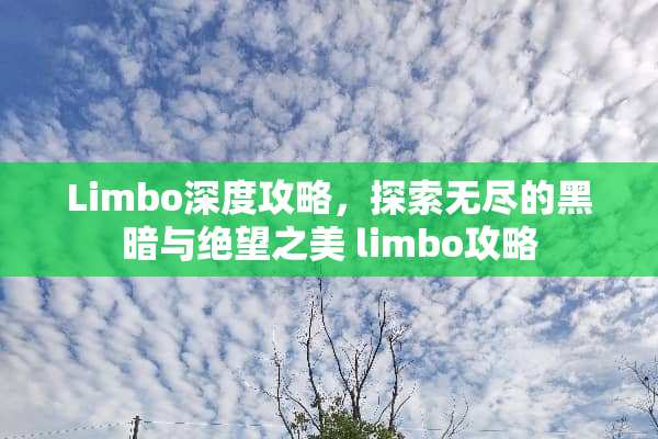 Limbo深度攻略，探索无尽的黑暗与绝望之美 limbo攻略