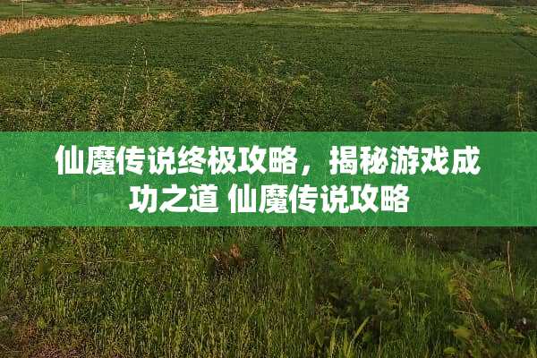 仙魔传说终极攻略，揭秘游戏成功之道 仙魔传说攻略