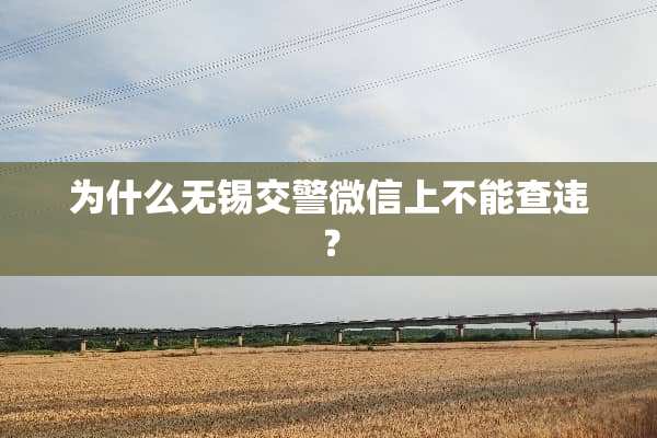 为什么无锡交警微信上不能查违？