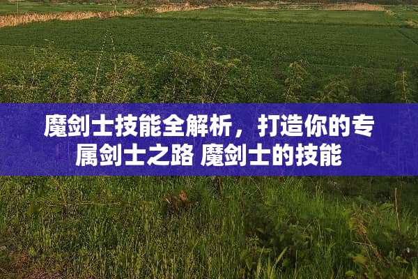 魔剑士技能全解析，打造你的专属剑士之路 魔剑士的技能