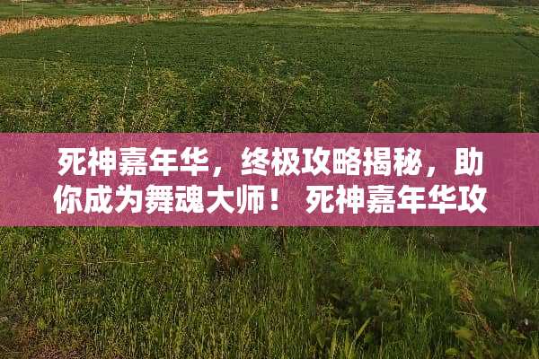 死神嘉年华，终极攻略揭秘，助你成为舞魂大师！ 死神嘉年华攻略