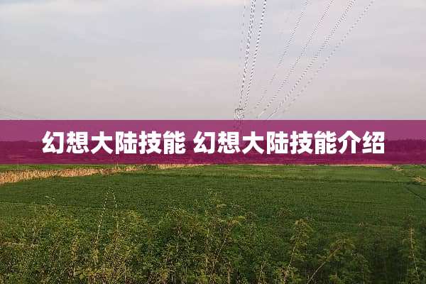 幻想**技能 幻想**技能介绍