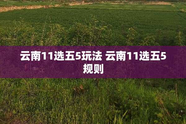 云南11选五5玩法 云南11选五5规则