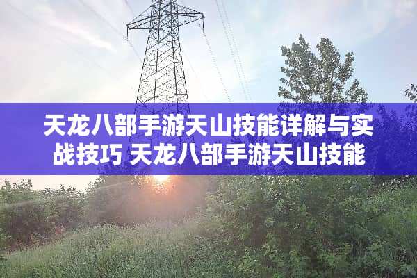 天龙八部手游天山技能详解与实战技巧 天龙八部手游天山技能