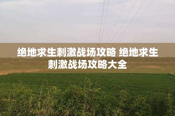 绝地求生刺激战场攻略 绝地求生刺激战场攻略大全