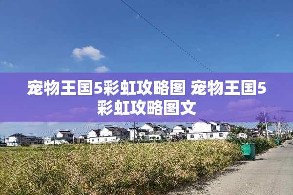 宠物王国5彩虹攻略图 宠物王国5彩虹攻略图文
