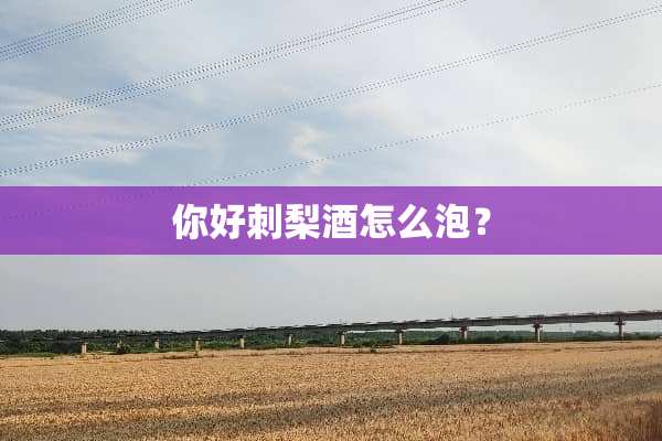 你好刺梨酒怎么泡？