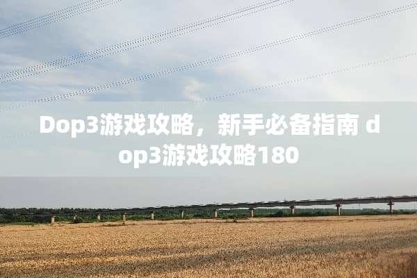 Dop3游戏攻略，新手必备指南 dop3游戏攻略180