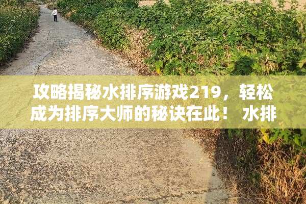 攻略揭秘水排序游戏219，轻松成为排序大师的秘诀在此！ 水排序游戏攻略219