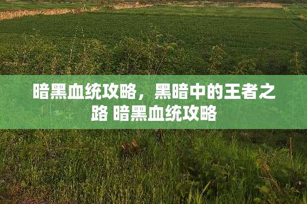 暗黑血统攻略，黑暗中的王者之路 暗黑血统攻略