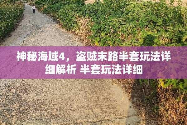 神秘海域4，盗贼末路半套玩法详细解析 半套玩法详细