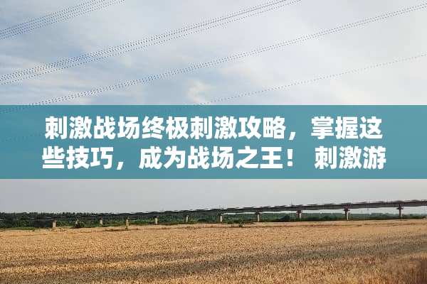 **战场终极**攻略，掌握这些技巧，成为战场之王！ **游戏攻略