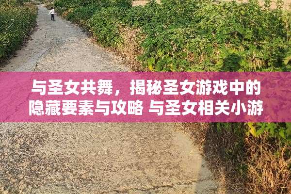 与圣女共舞，揭秘圣女游戏中的隐藏要素与攻略 与圣女相关小游戏攻略