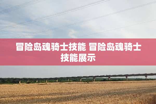 冒险岛魂骑士技能 冒险岛魂骑士技能展示