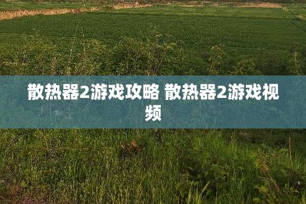 散热器2游戏攻略 散热器2游戏视频