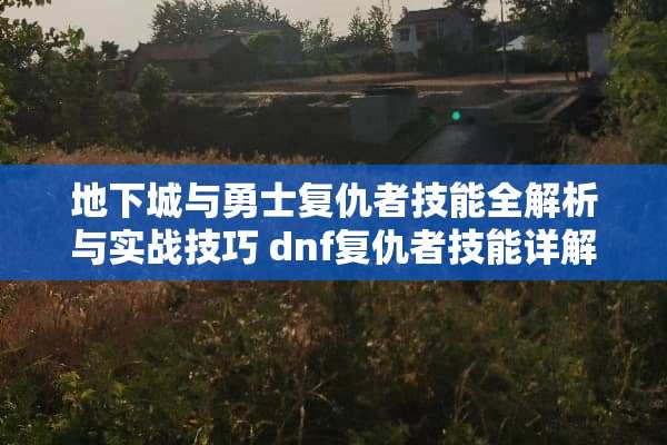 **城与勇士复仇者技能全解析与实战技巧 dnf复仇者技能详解
