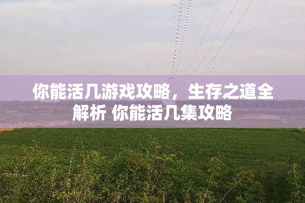 你能活几游戏攻略，生存之道全解析 你能活几集攻略
