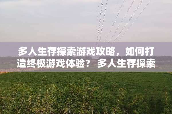 多人生存探索游戏攻略，如何打造终极游戏体验？ 多人生存探索游戏攻略