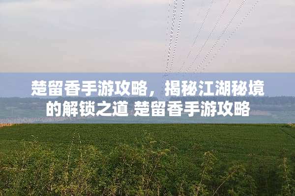 楚留香手游攻略，揭秘江湖秘境的解锁之道 楚留香手游攻略