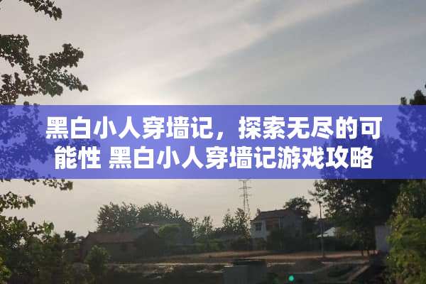 黑白小人穿墙记，探索无尽的可能性 黑白小人穿墙记游戏攻略