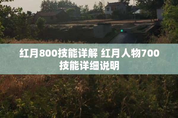 红月800技能详解 红月人物700技能详细说明