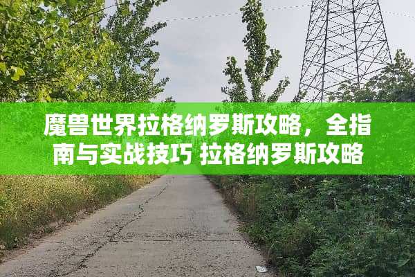 魔兽世界拉格纳罗斯攻略，全指南与实战技巧 拉格纳罗斯攻略