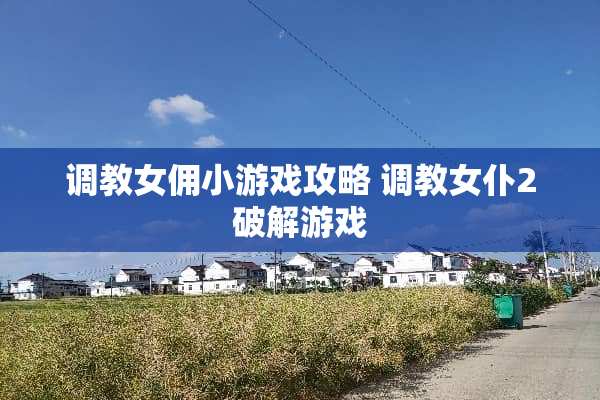 调教女佣小游戏攻略 调教女仆2破解游戏