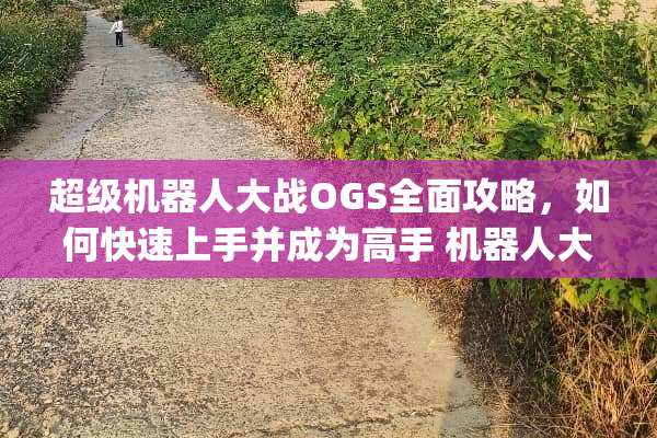 超级机器**战OGS全面攻略，如何快速上手并成为高手 机器**战ogs攻略