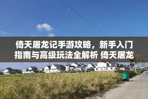 倚天屠龙记手游攻略，新手入门指南与高级玩法全解析 倚天屠龙记攻略