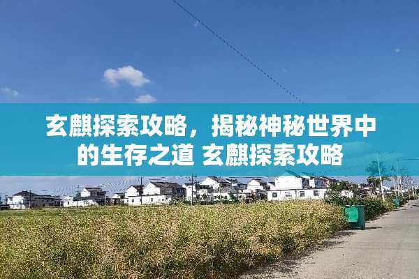 玄麒探索攻略，揭秘神秘世界中的生存之道 玄麒探索攻略