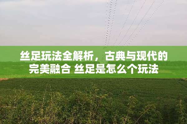 丝足玩法全解析，古典与现代的完美融合 丝足是怎么个玩法