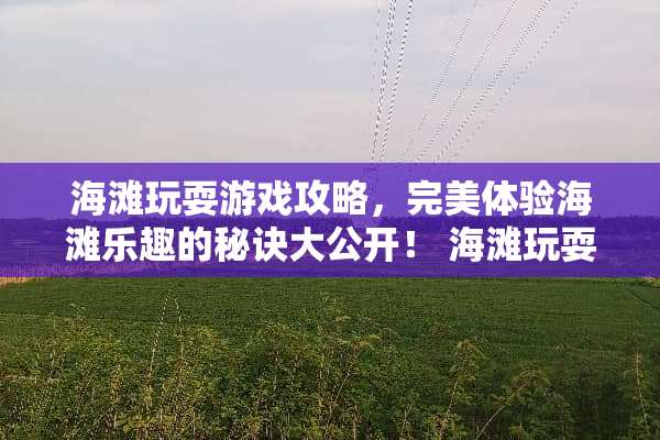 海滩玩耍游戏攻略，完美体验海滩乐趣的秘诀大公开！ 海滩玩耍游戏攻略