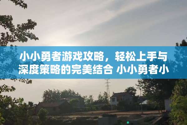 小小勇者游戏攻略，轻松上手与深度策略的完美结合 小小勇者小游戏攻略