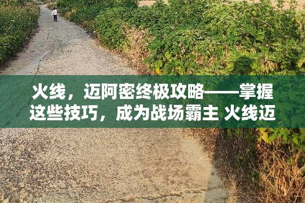 火线，迈阿密终极攻略——掌握这些技巧，成为战场霸主 火线迈阿密攻略
