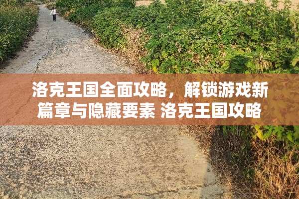 洛克王国全面攻略，解锁游戏新篇章与隐藏要素 洛克王国攻略