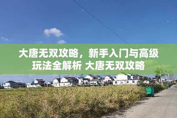 大唐无双攻略，新手入门与高级玩法全解析 大唐无双攻略