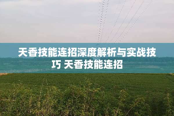 天香技能连招深度解析与实战技巧 天香技能连招