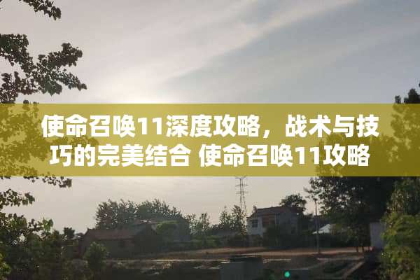 使命召唤11深度攻略，战术与技巧的完美结合 使命召唤11攻略