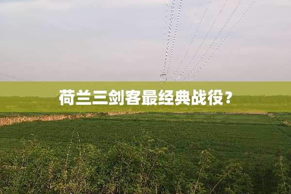 荷兰三剑客最经典战役？