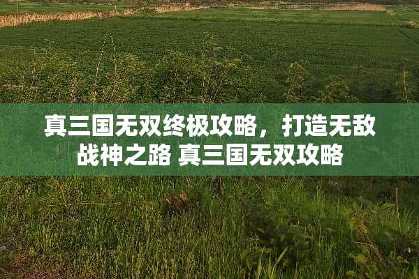 真三国无双终极攻略，打造无敌战神之路 真三国无双攻略