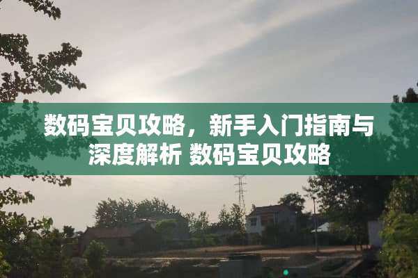 数码宝贝攻略，新手入门指南与深度解析 数码宝贝攻略