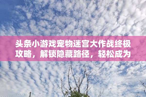头条小游戏宠物迷宫大作战终极攻略，解锁隐藏路径，轻松成为宠物大师！ 头条小游戏宠物迷宫攻略