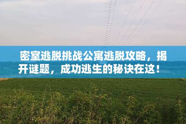 密室逃脱挑战公寓逃脱攻略，揭开谜题，成功逃生的秘诀在这！ 密室逃脱逃离公寓攻略