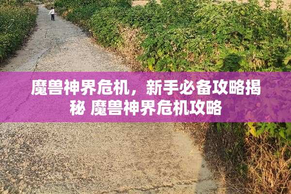 魔兽神界危机，新手必备攻略揭秘 魔兽神界危机攻略