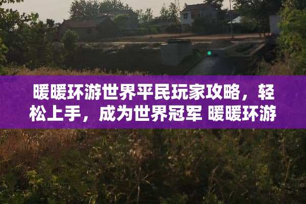 暖暖环游世界平民玩家攻略，轻松上手，成为世界冠军 暖暖环游世界平民s攻略