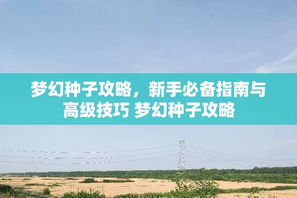梦幻种子攻略，新手必备指南与高级技巧 梦幻种子攻略