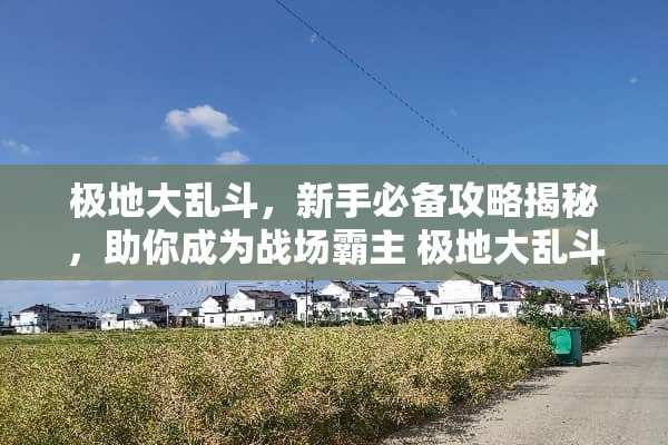 极地大乱斗，新手必备攻略揭秘，助你成为战场霸主 极地大乱斗攻略