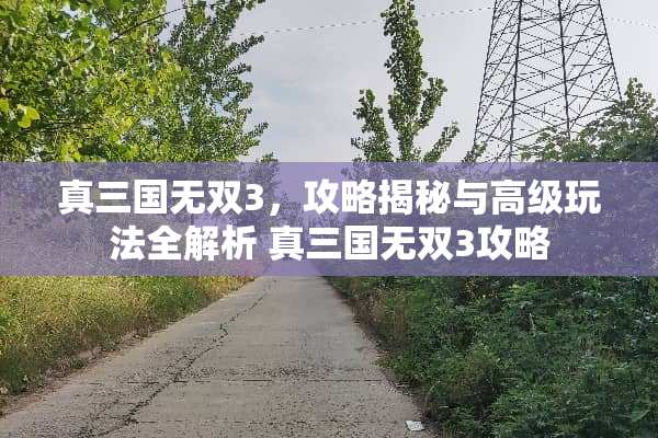 真三国无双3，攻略揭秘与高级玩法全解析 真三国无双3攻略