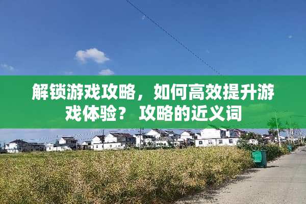 解锁游戏攻略，如何高效提升游戏体验？ 攻略的近义词