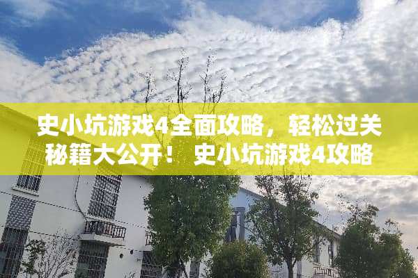 史小坑游戏4全面攻略，轻松过关秘籍大公开！ 史小坑游戏4攻略